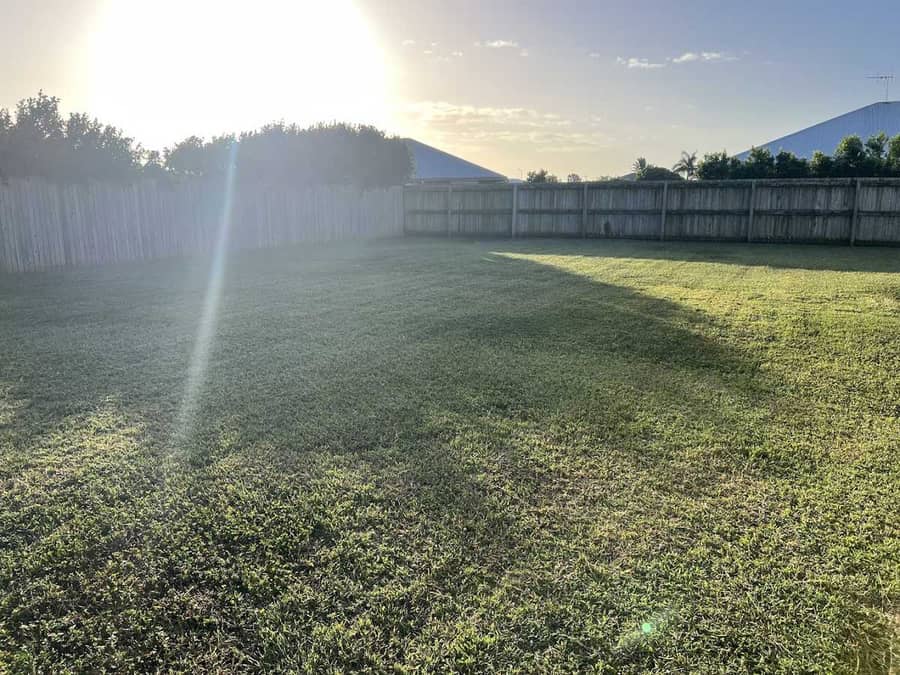 An open block of grass at first light with a fence line behind